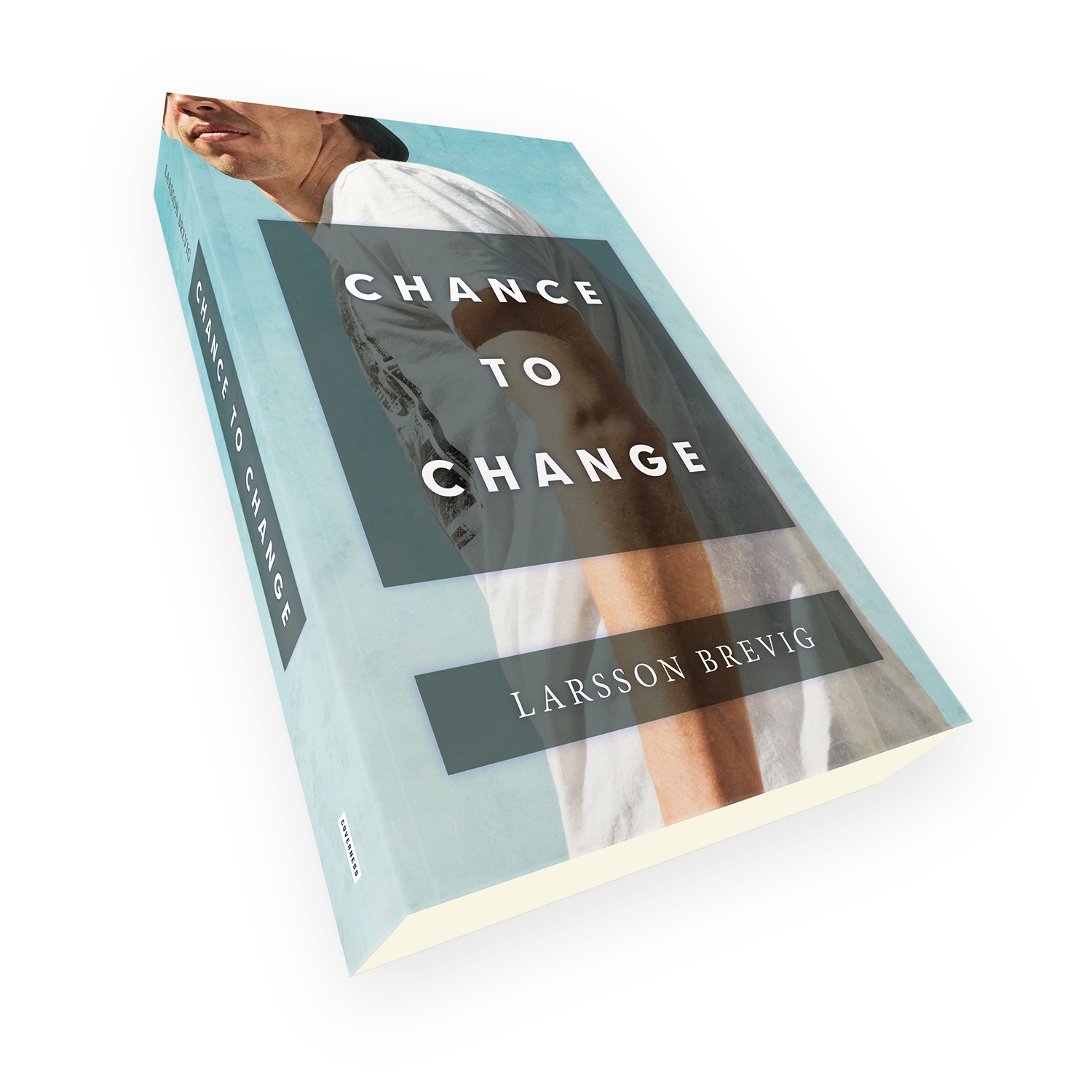 'Chance to Change' is a bespoke cover design for a modern dramatic novel. The book cover was designed by Mark Thomas, of coverness.com. To find out more about my book design services, please visit www.coverness.com.