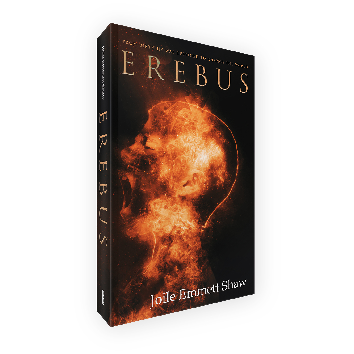 'Erebus' is a bespoke cover design for a modern horror novel. The book cover was designed by Mark Thomas, of coverness.com. To find out more about my book design services, please visit www.coverness.com.