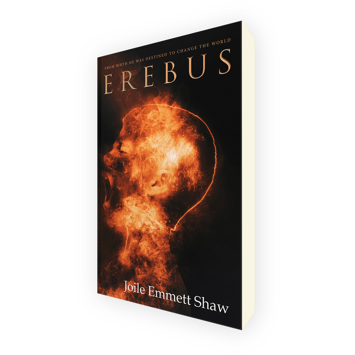 'Erebus' is a bespoke cover design for a modern horror novel. The book cover was designed by Mark Thomas, of coverness.com. To find out more about my book design services, please visit www.coverness.com.