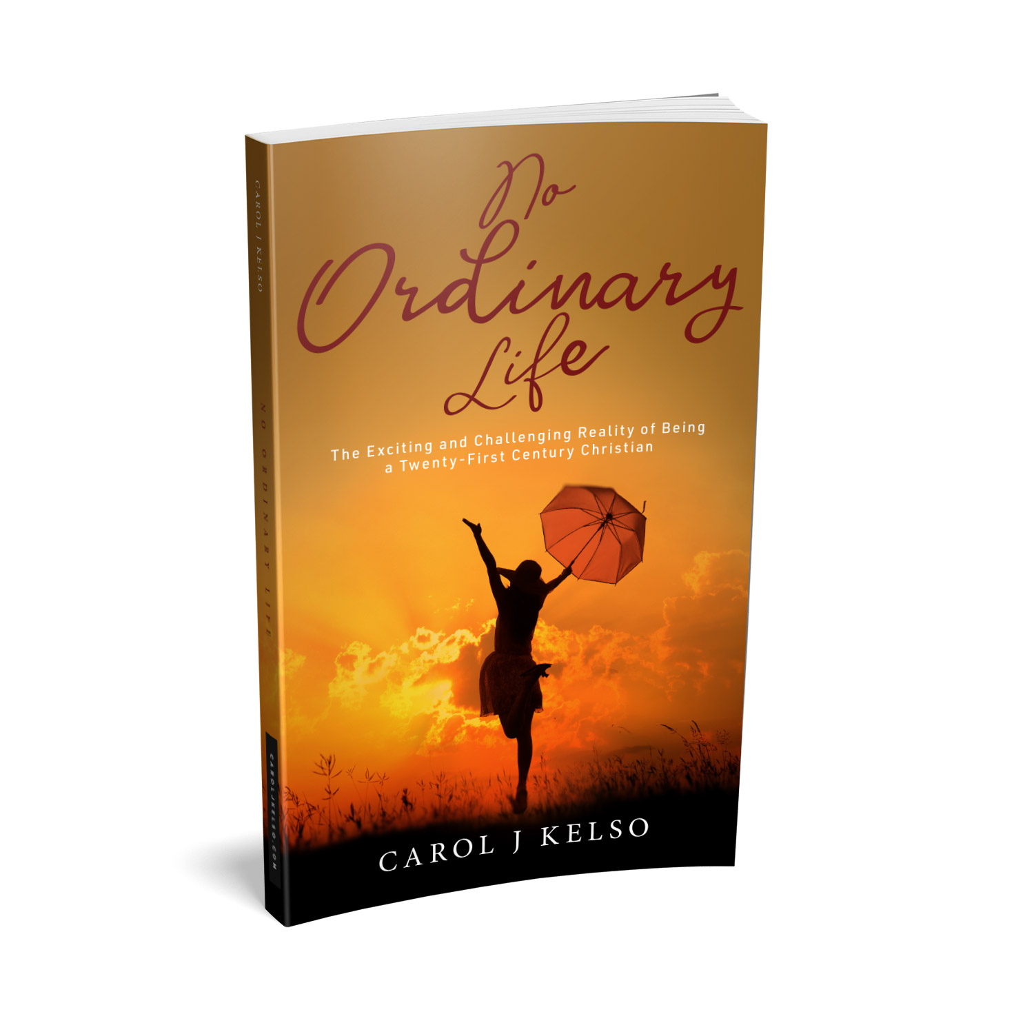 'No Ordinary Life' is a great book about living a 21st Century faith-based life, by author Carol J Kelso. The book cover and interior were designed by Mark Thomas, of coverness.com. To find out more about my book design services, please visit www.coverness.com.