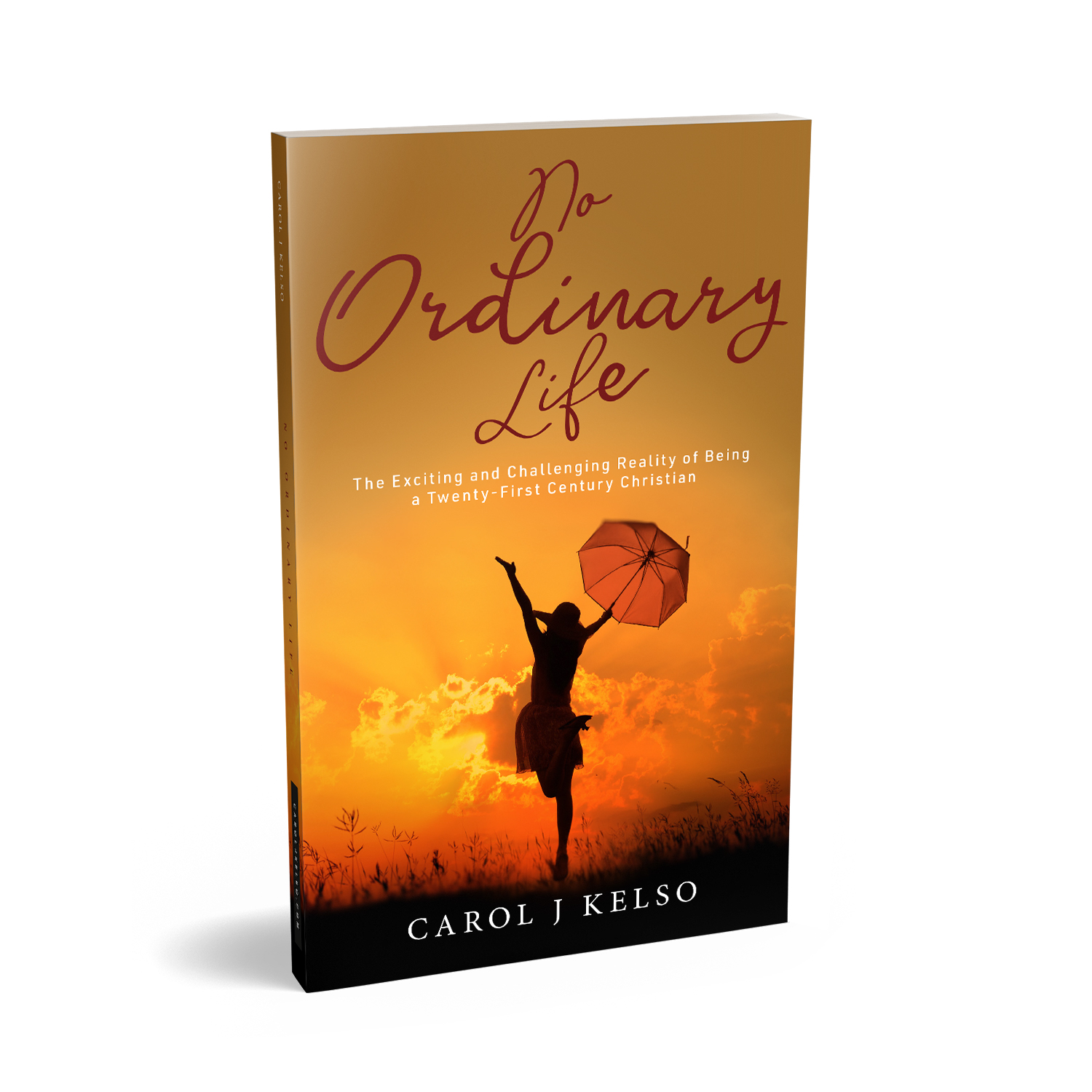 'No Ordinary Life' is a great book about living a 21st Century faith-based life, by author Carol J Kelso. The book cover and interior were designed by Mark Thomas, of coverness.com. To find out more about my book design services, please visit www.coverness.com.