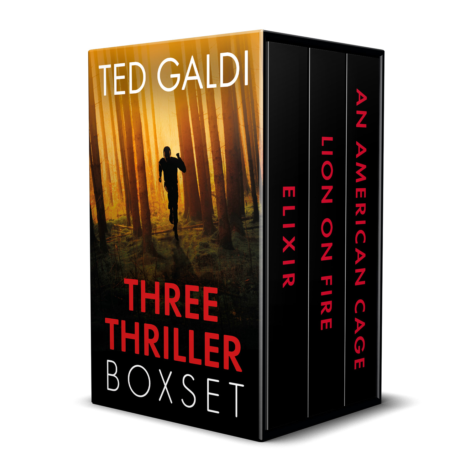 The 'Ted Galdi Three Thriller Boxset' is an ebook boxset containing three, previously-published American thrillers. The virtual boxset design and interior ebook formatting were completed by Mark Thomas, of coverness.com. To find out more about my book design services, please visit www.coverness.com