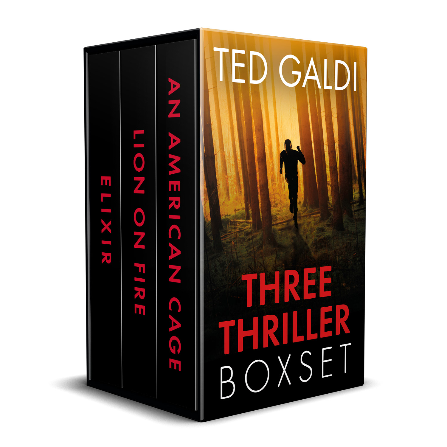 The 'Ted Galdi Three Thriller Boxset' is an ebook boxset containing three, previously-published American thrillers. The virtual boxset design and interior ebook formatting were completed by Mark Thomas, of coverness.com. To find out more about my book design services, please visit www.coverness.com