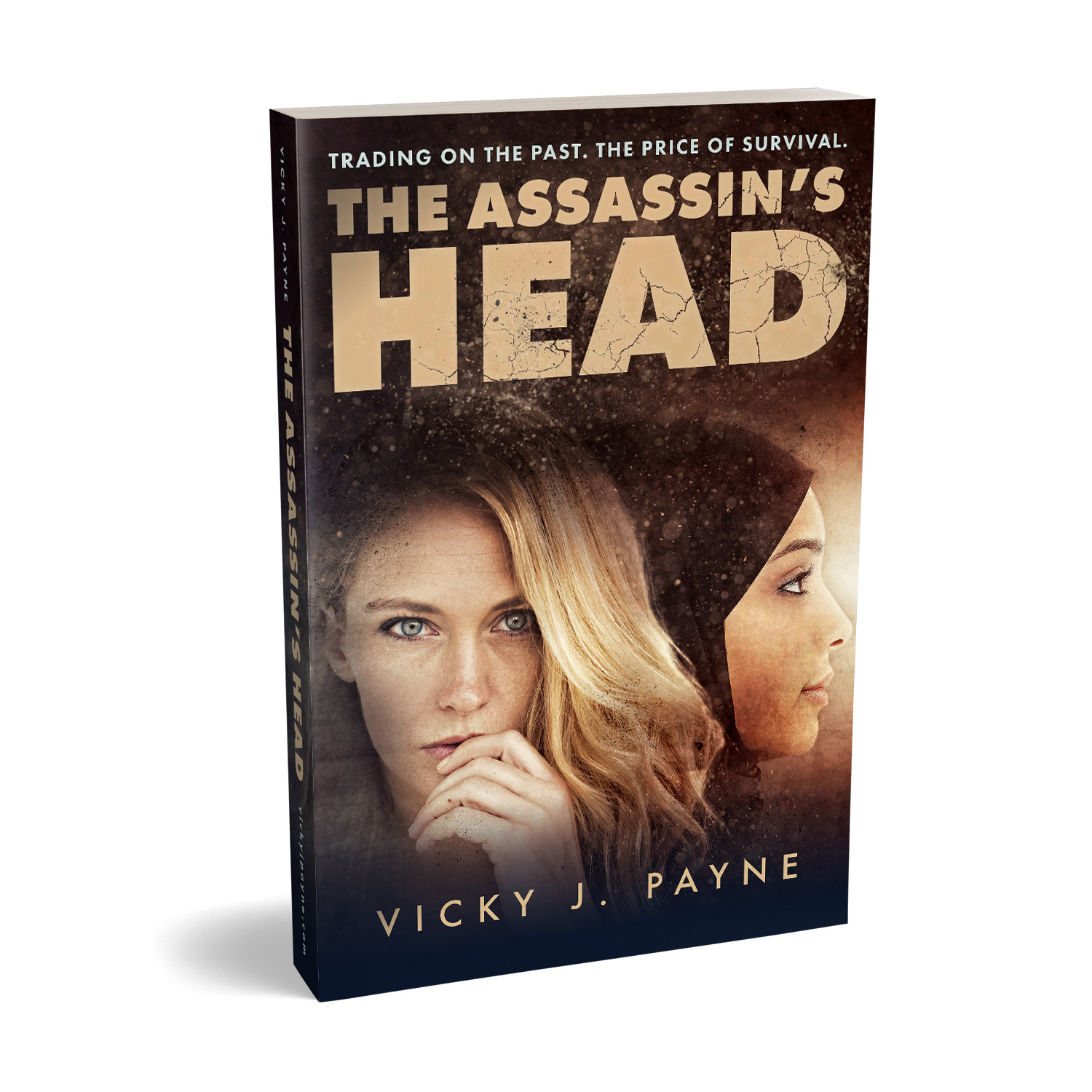 'The Assassin's Head' is a terrific female-led thriller, set in the aftermath of the 2003 Iraq War. The author is Vicky J. Ward. The book cover design and interior formatting are by Mark Thomas. To learn more about what Mark could do for your book, please visit coverness.com.