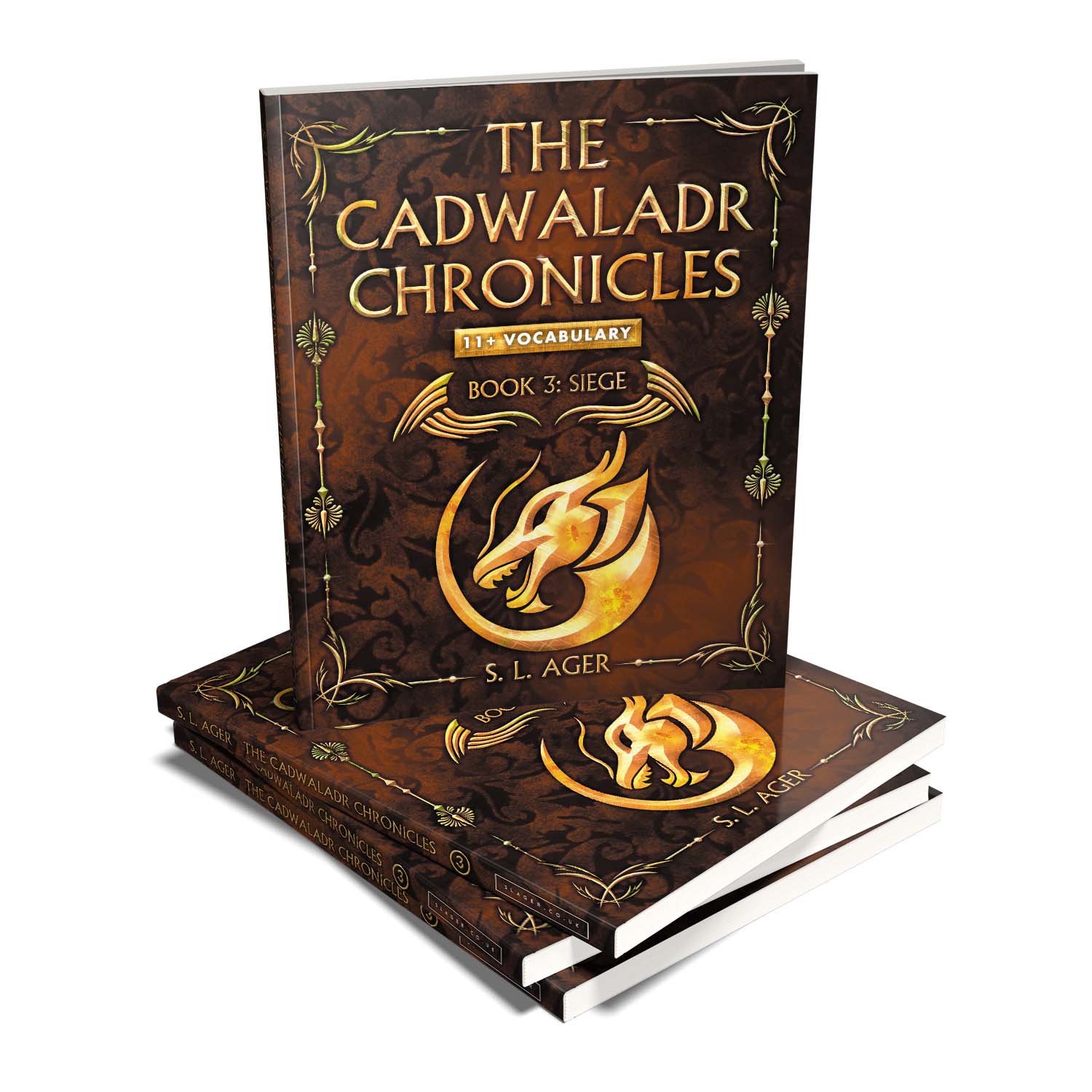 'The Cadwaladr Chronicles' is unique, story-based, educational novel series that teaches young readers nearly 3000 exam-level English words. The author is S L Ager. The book cover and interior design are by Mark Thomas. To learn more about what Mark could do for your book, please visit coverness.com.