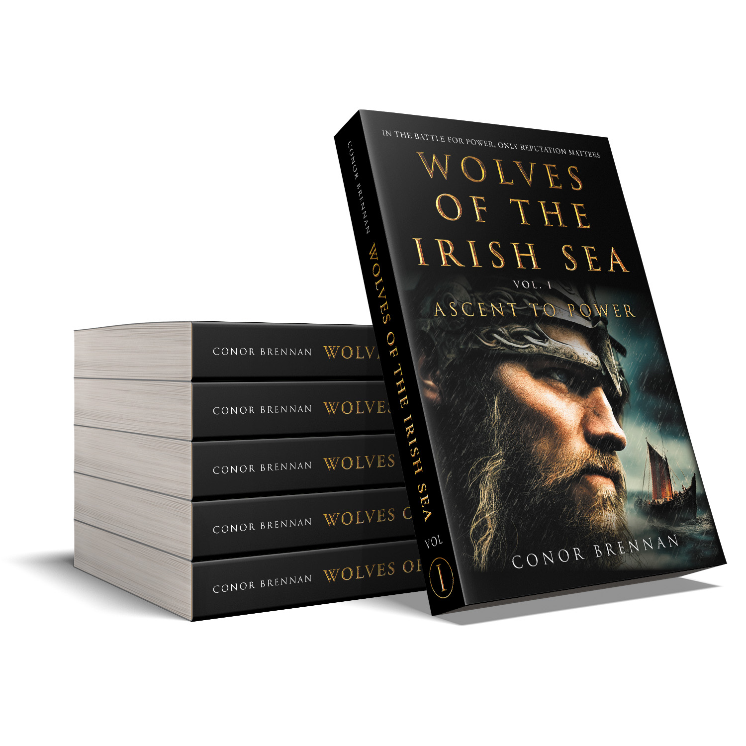 'Wolves of the Irish Sea' is a dark and epic historical fiction series. The author is Conor Brennan. The book cover and interior design are by Mark Thomas. To learn more about what Mark could do for your book, please visit coverness.com.