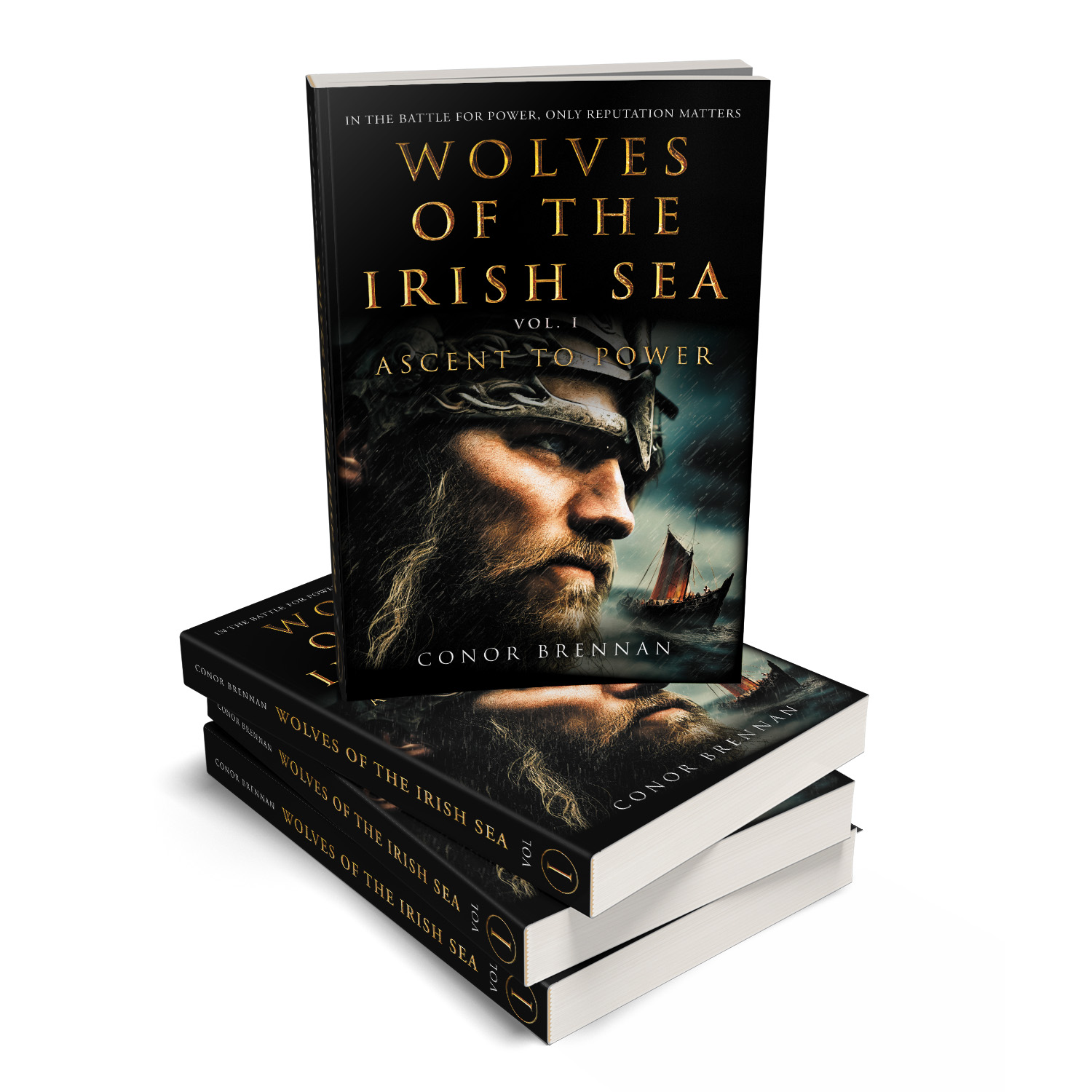 'Wolves of the Irish Sea' is a dark and epic historical fiction series. The author is Conor Brennan. The book cover and interior design are by Mark Thomas. To learn more about what Mark could do for your book, please visit coverness.com.