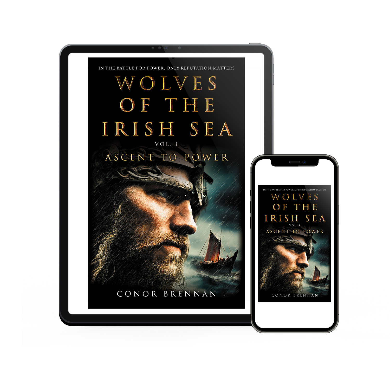 'Wolves of the Irish Sea' is a dark and epic historical fiction series. The author is Conor Brennan. The book cover and interior design are by Mark Thomas. To learn more about what Mark could do for your book, please visit coverness.com.