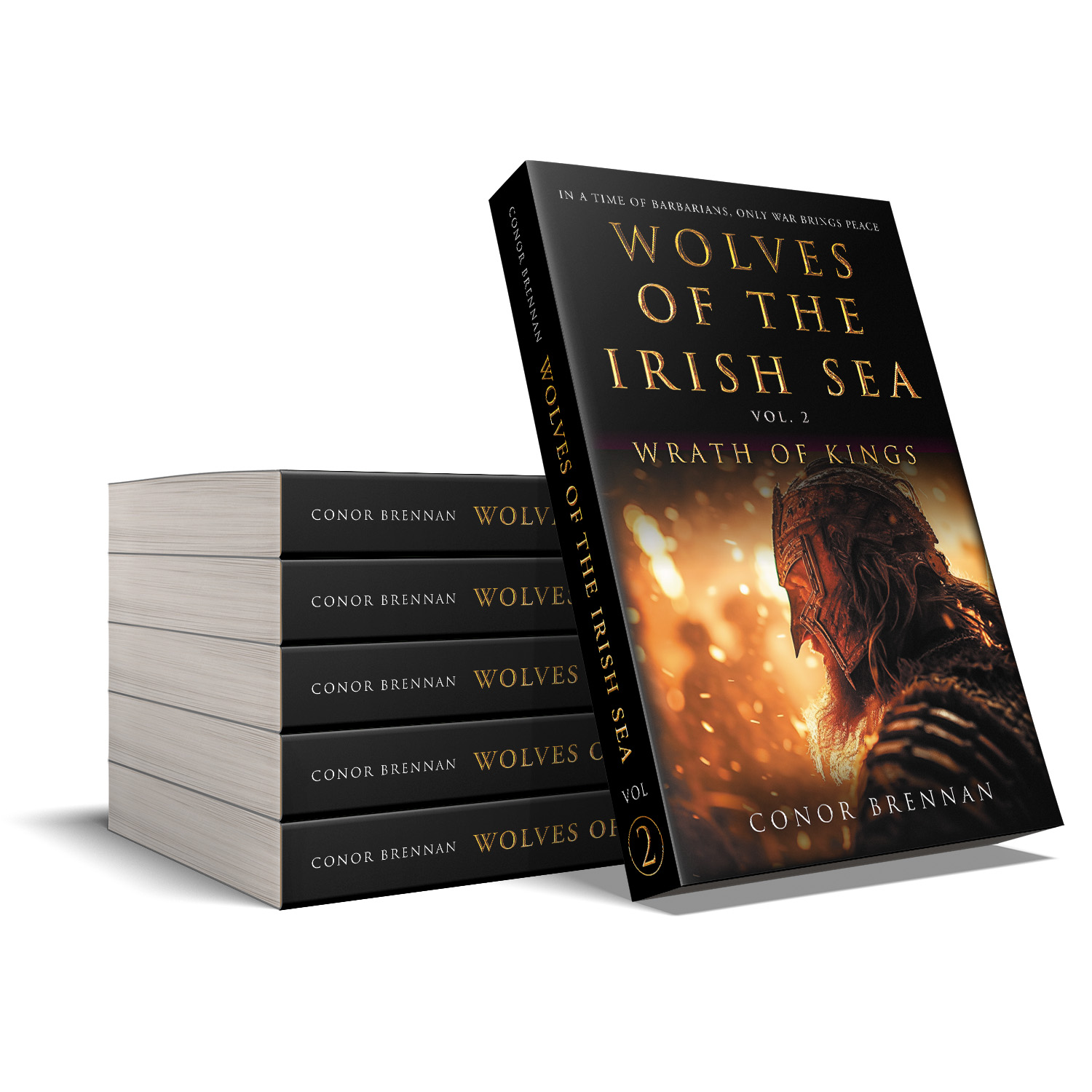 'Wolves of the Irish Sea' is a dark and epic historical fiction series. The author is Conor Brennan. The book cover and interior design are by Mark Thomas. To learn more about what Mark could do for your book, please visit coverness.com.