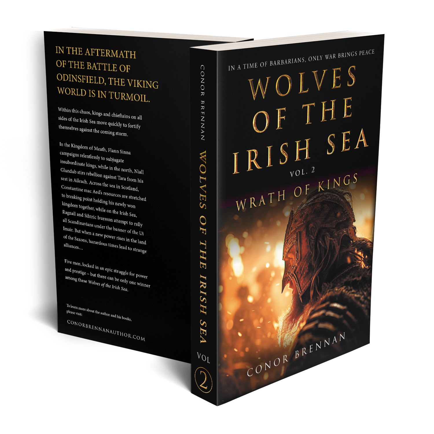 'Wolves of the Irish Sea' is a dark and epic historical fiction series. The author is Conor Brennan. The book cover and interior design are by Mark Thomas. To learn more about what Mark could do for your book, please visit coverness.com.