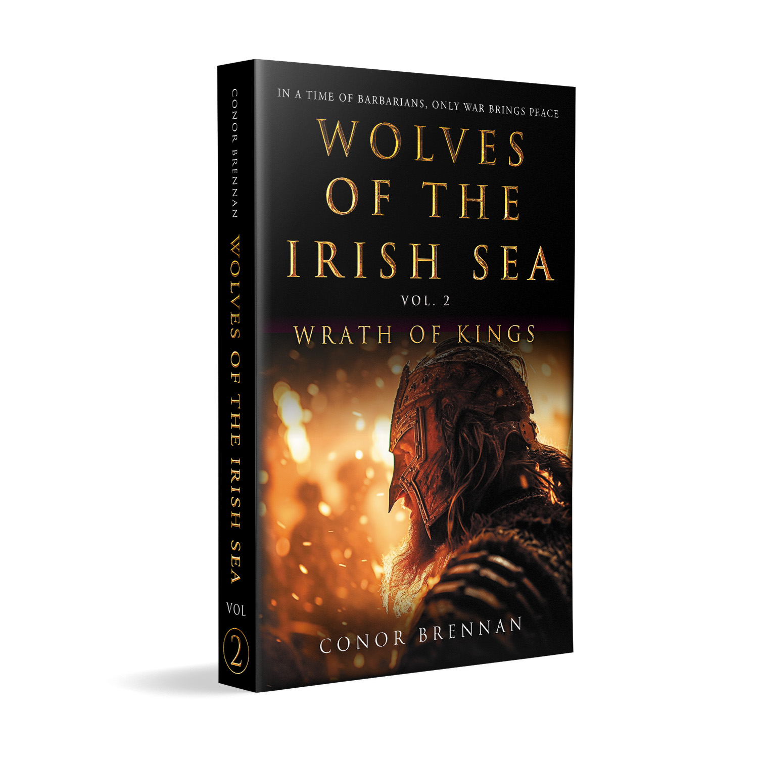 'Wolves of the Irish Sea' is a dark and epic historical fiction series. The author is Conor Brennan. The book cover and interior design are by Mark Thomas. To learn more about what Mark could do for your book, please visit coverness.com.