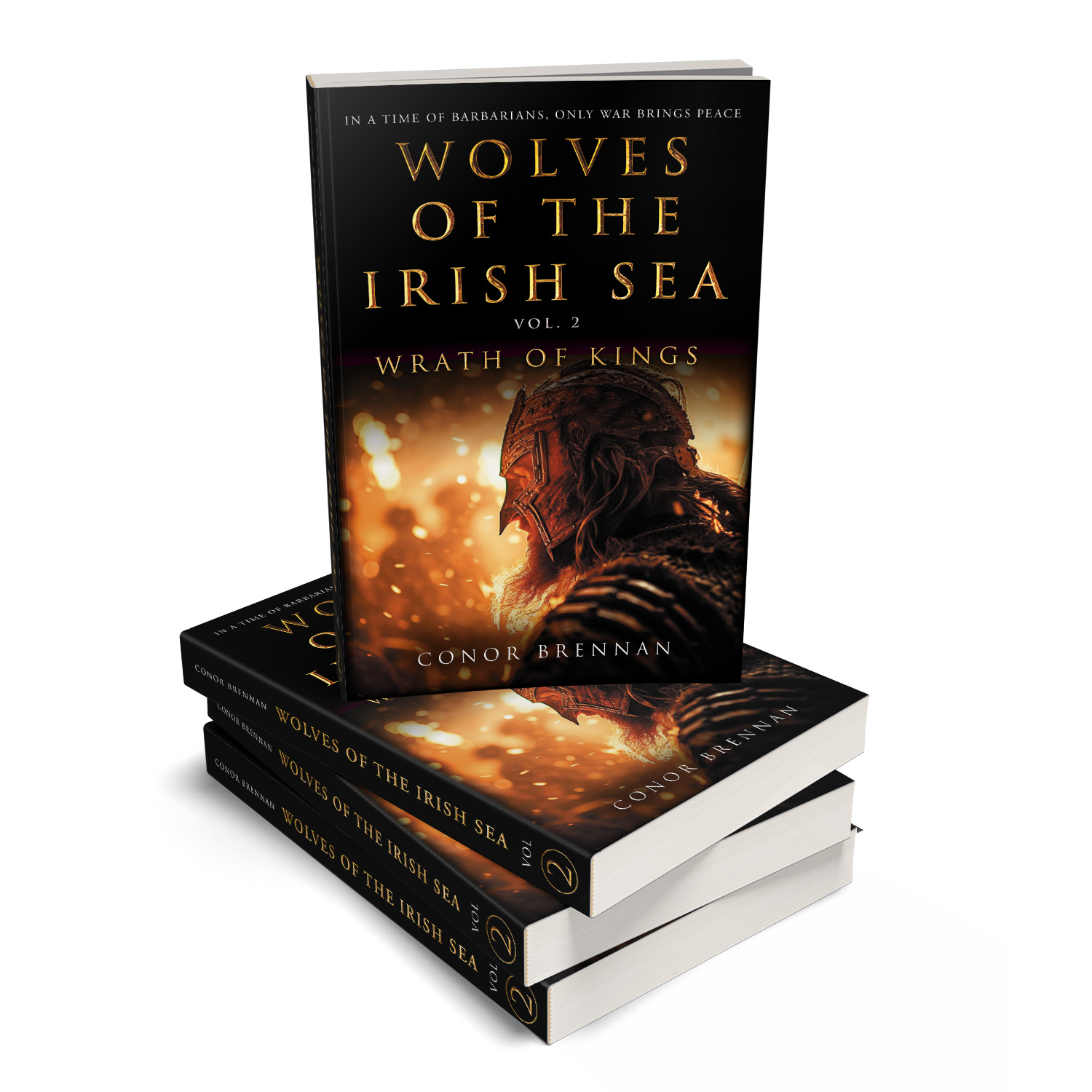 'Wolves of the Irish Sea' is a dark and epic historical fiction series. The author is Conor Brennan. The book cover and interior design are by Mark Thomas. To learn more about what Mark could do for your book, please visit coverness.com.