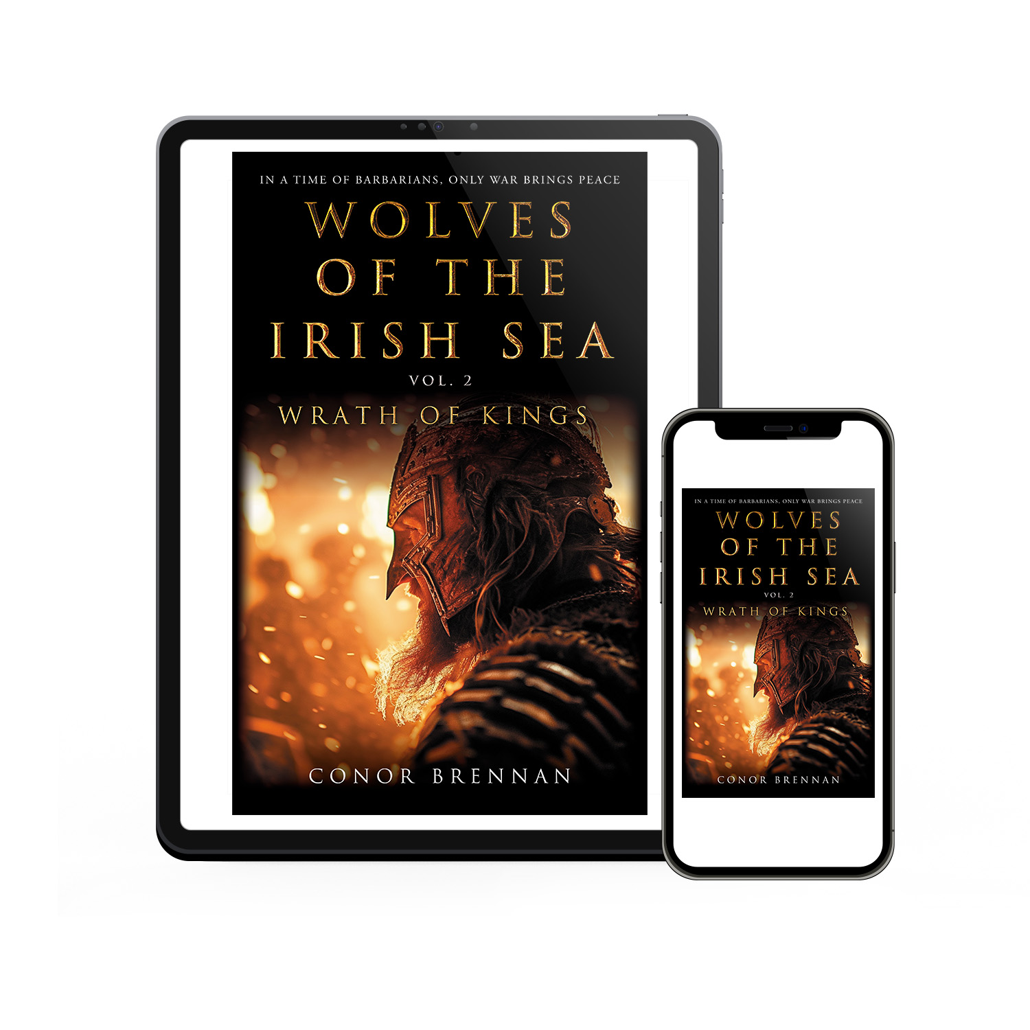 'Wolves of the Irish Sea' is a dark and epic historical fiction series. The author is Conor Brennan. The book cover and interior design are by Mark Thomas. To learn more about what Mark could do for your book, please visit coverness.com.