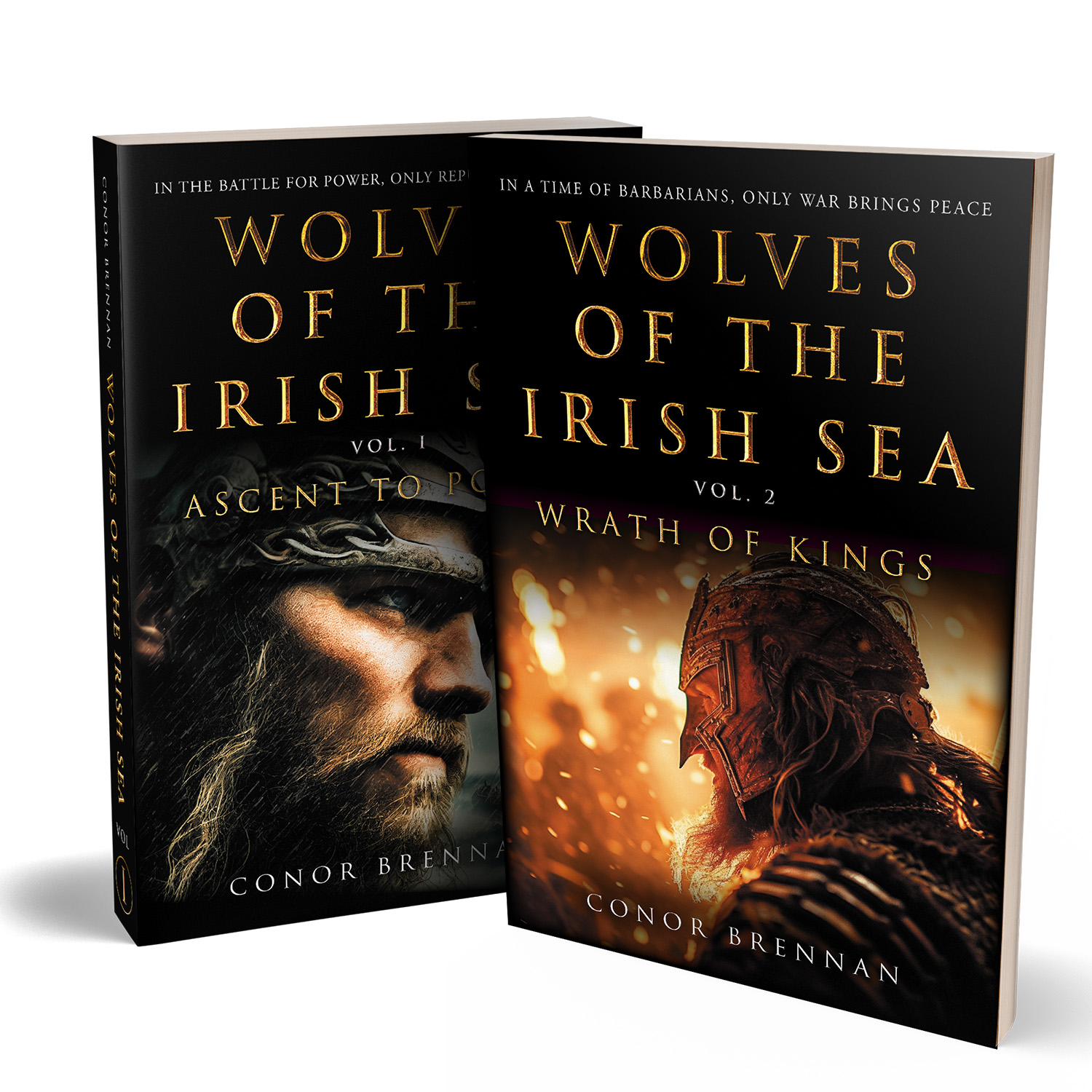 'Wolves of the Irish Sea' is a dark and epic historical fiction series. The author is Conor Brennan. The book cover and interior design are by Mark Thomas. To learn more about what Mark could do for your book, please visit coverness.com.