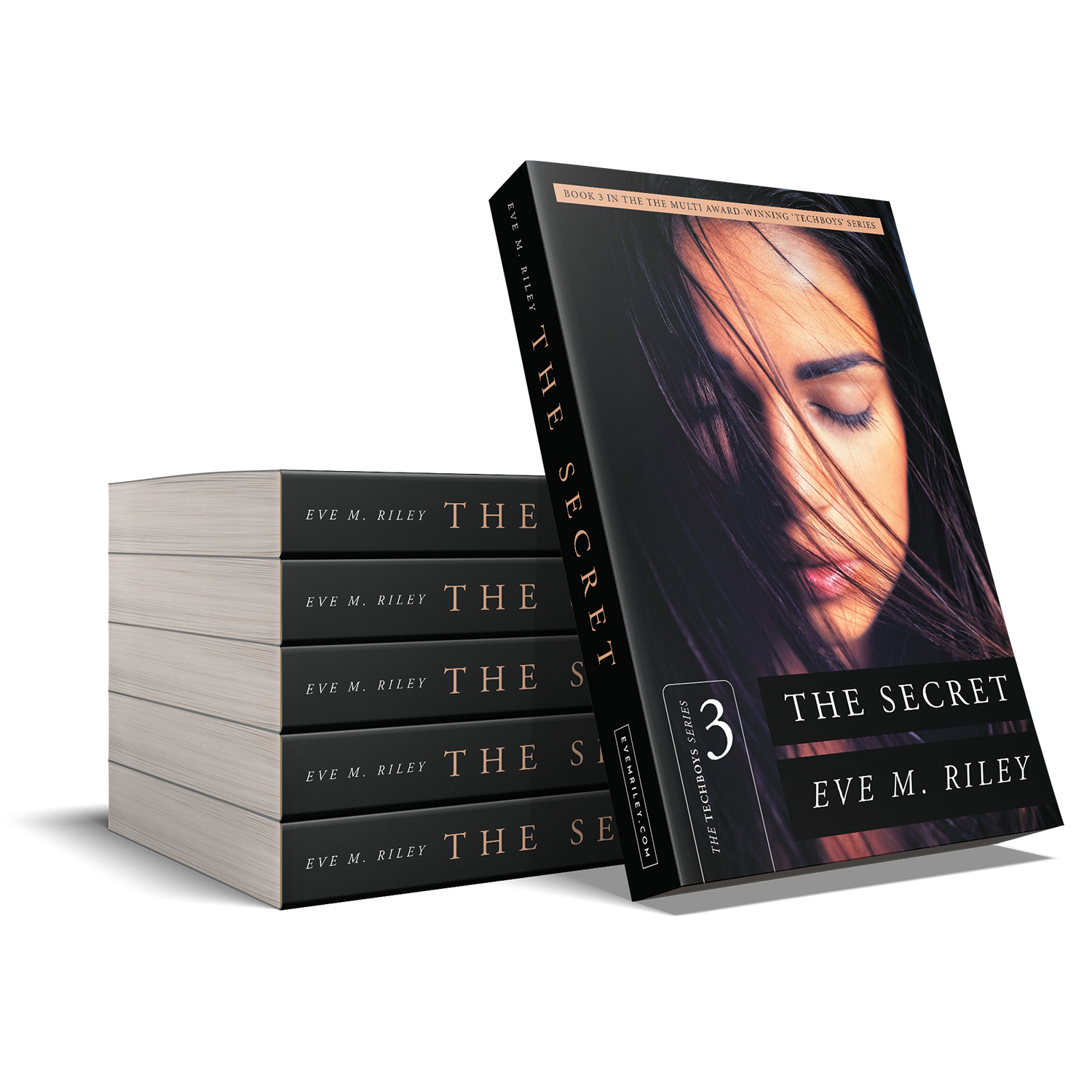 The 'Techboys' Series is in an electrifying modern romance series by Eve M. Riley. The book covers and interior formatting are by Mark Thomas. To learn more about what Mark could do for your book, please visit coverness.com.